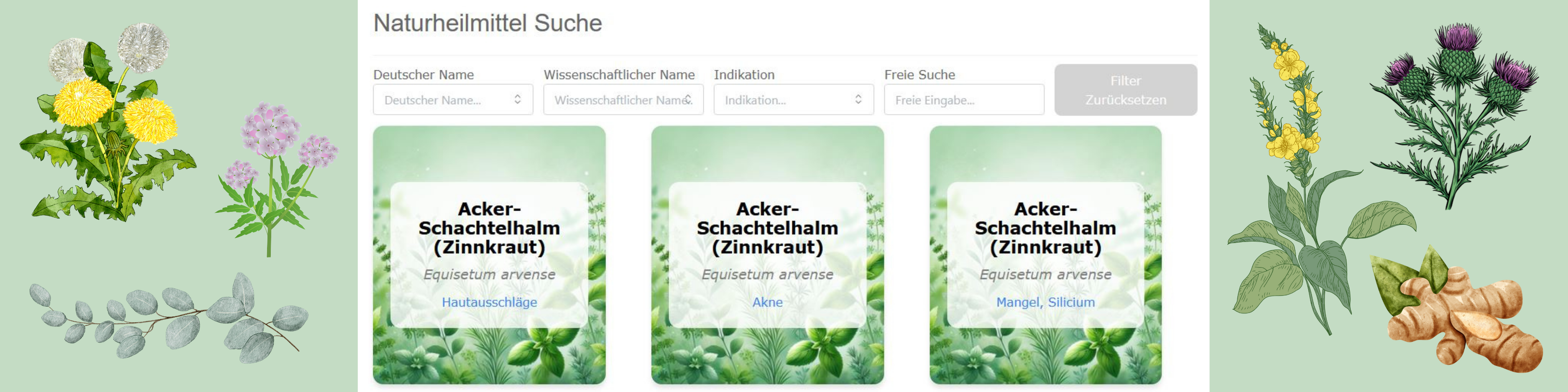 Bild Naturheilmittel Datenbank